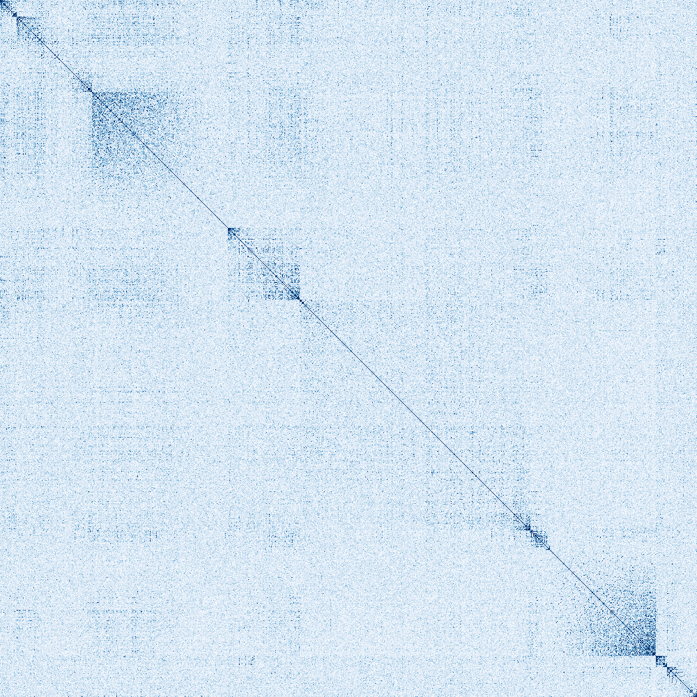 Clustered absolute cosine-similarity heatmap